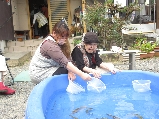 yamame4