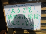 katumata5
